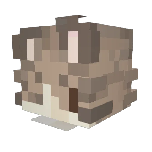 Mu_Yaong Minecraft avatar head, 3D render