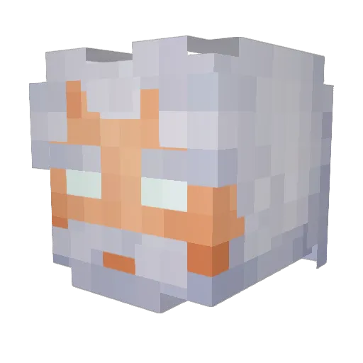 Muang__ Minecraft avatar head, 3D render