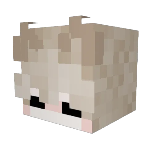 Muarliyura Minecraft avatar head, 3D render