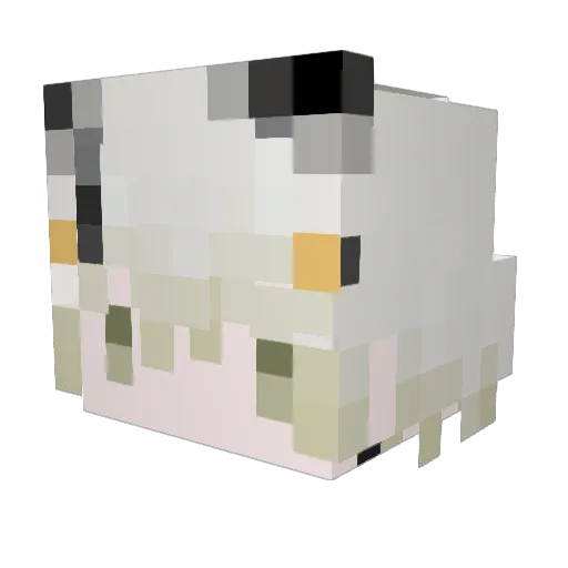 Mubai_zen Minecraft avatar head, 3D render