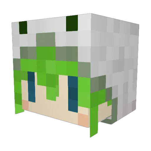 Mucchan3410 Minecraft avatar head, 3D render