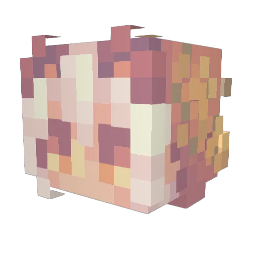 MuchPunk Minecraft avatar head, 3D render