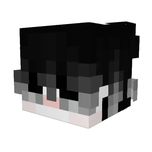 Mucha420 Minecraft avatar head, 3D render