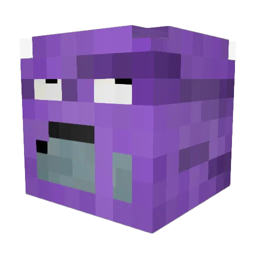 Muckduck_69 Minecraft avatar head, 3D render