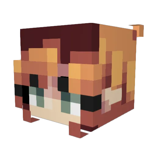 Mudbloods Minecraft avatar head, 3D render