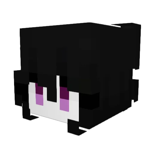 Mudduk133 Minecraft avatar head, 3D render