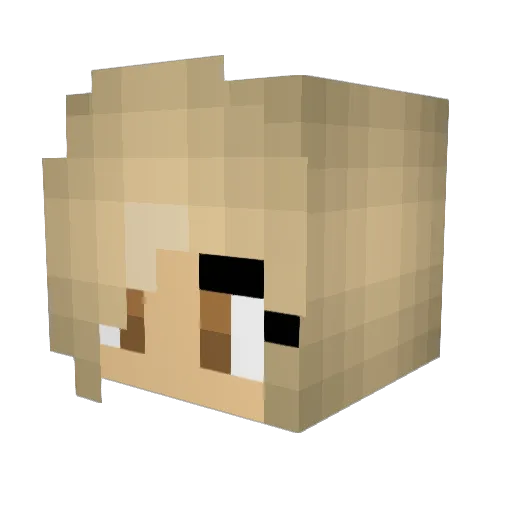 Muddy4000 Minecraft avatar head, 3D render