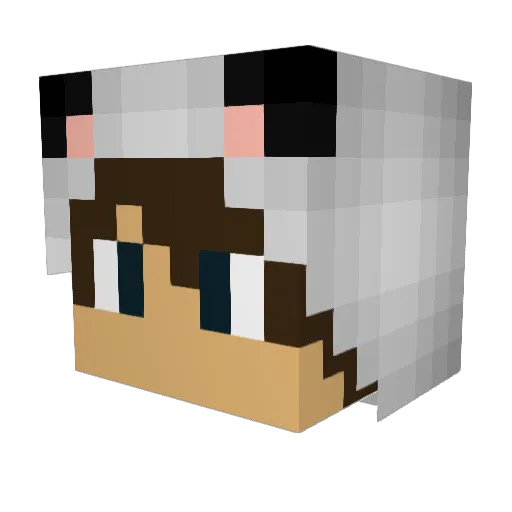 MuddyFx Minecraft avatar head, 3D render