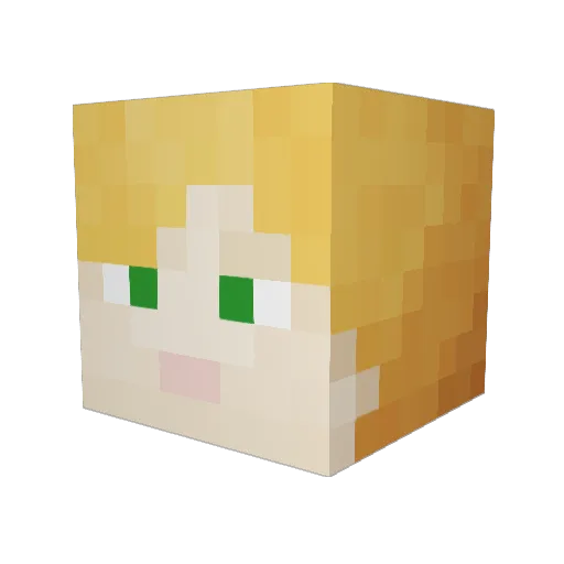 MuddyGuy555YT Minecraft avatar head, 3D render