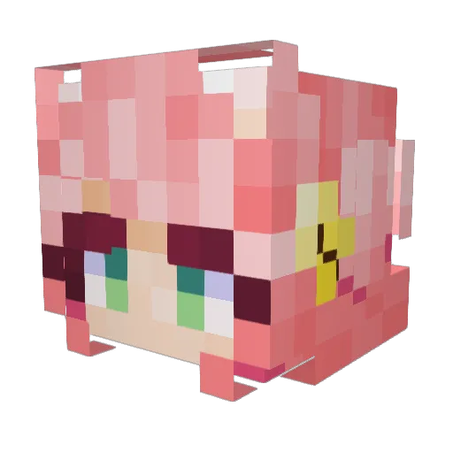 MuddyMaxi Minecraft avatar head, 3D render