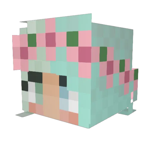 MuddyMudkip9 Minecraft avatar head, 3D render