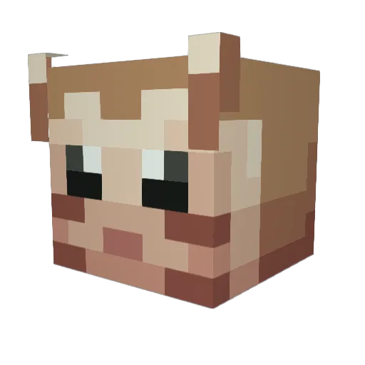 Muddyferret Minecraft avatar head, 3D render