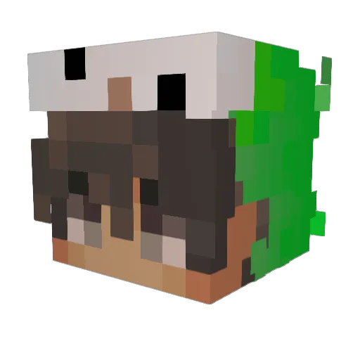 Mudgojecool Minecraft avatar head, 3D render