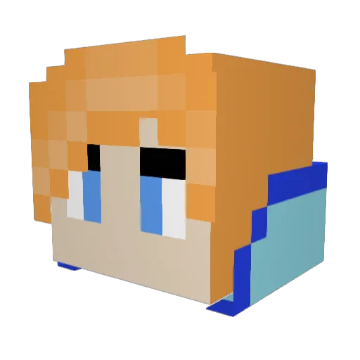 Mudkip1601 Minecraft avatar head, 3D render