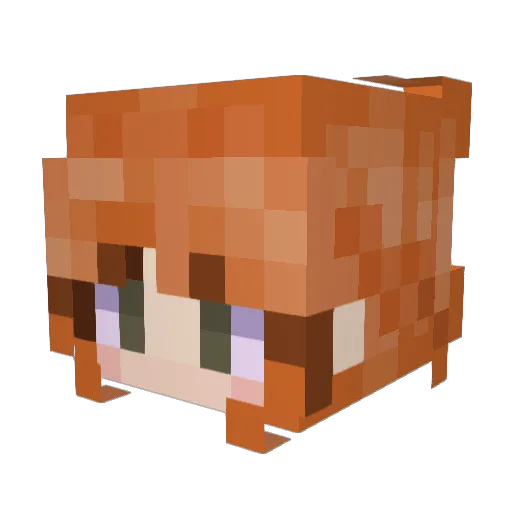 Mudspuddle Minecraft avatar head, 3D render