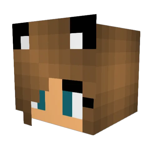 Mufasa2759 Minecraft avatar head, 3D render
