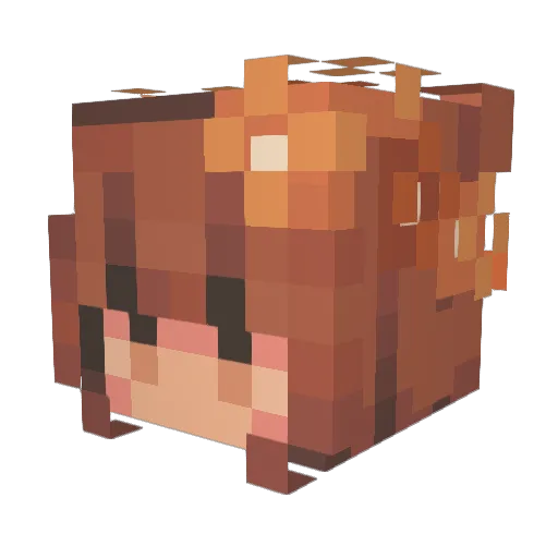 MuffeMagnus Minecraft avatar head, 3D render