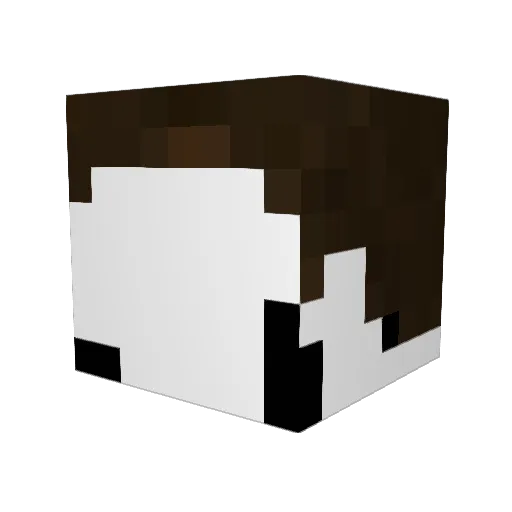 Muffen123 Minecraft avatar head, 3D render