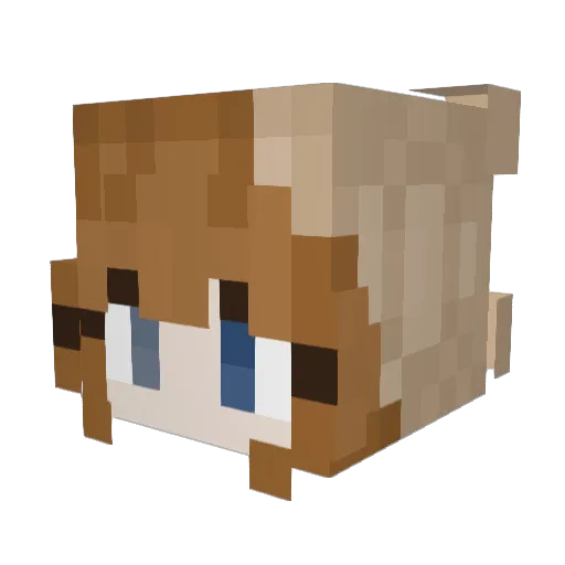Muffin576 Minecraft avatar head, 3D render