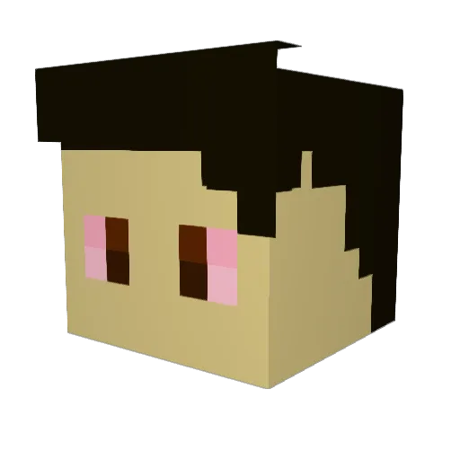 MuffinMan1593 Minecraft avatar head, 3D render