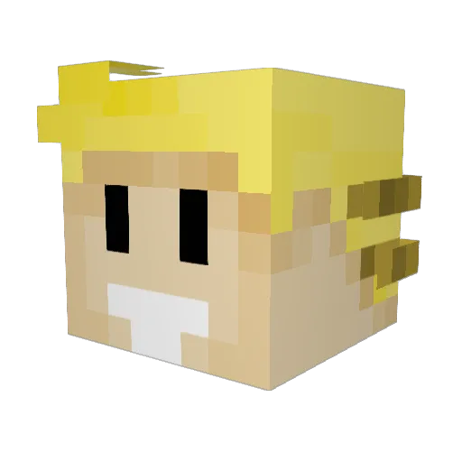 MuffinMonster77 Minecraft avatar head, 3D render