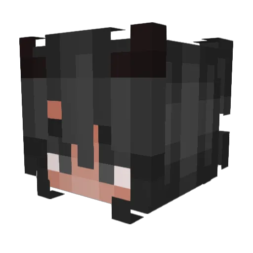 Muffin_Head__ Minecraft avatar head, 3D render