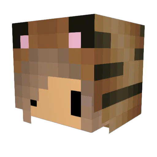 Muffin_Mind Minecraft avatar head, 3D render