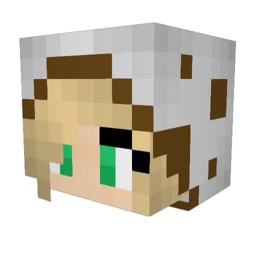 Muffinator237 Minecraft avatar head, 3D render