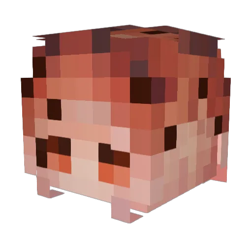 Muffzo Minecraft avatar head, 3D render