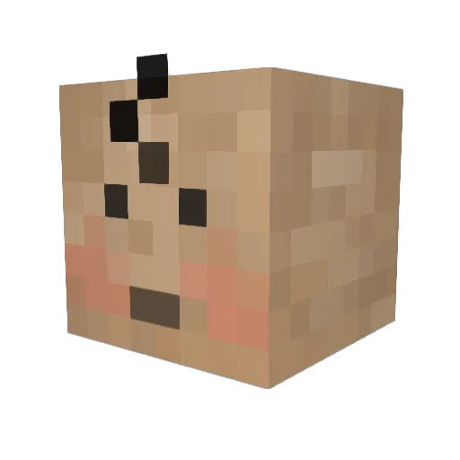 Mug237 Minecraft avatar head, 3D render