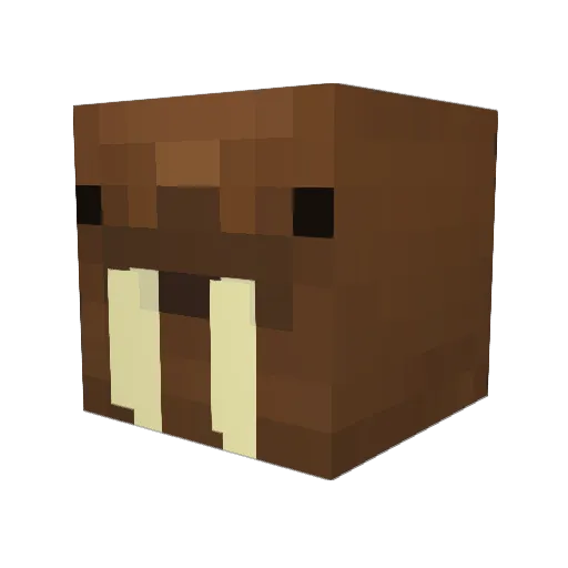 MuggyPaladin Minecraft avatar head, 3D render