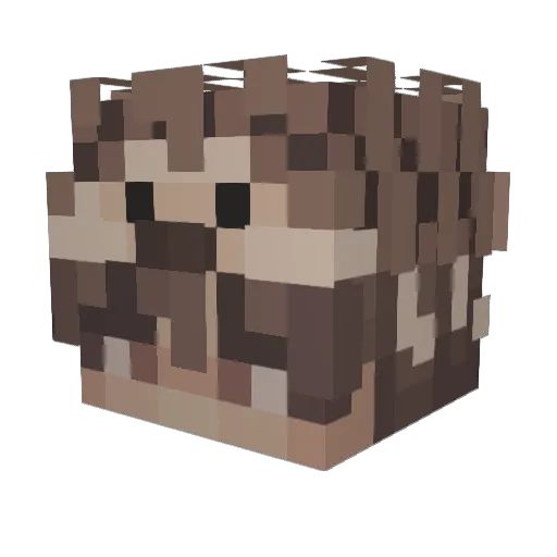 MugiMugiii Minecraft avatar head, 3D render