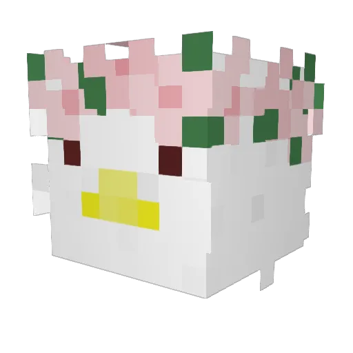 MuhBallZ Minecraft avatar head, 3D render