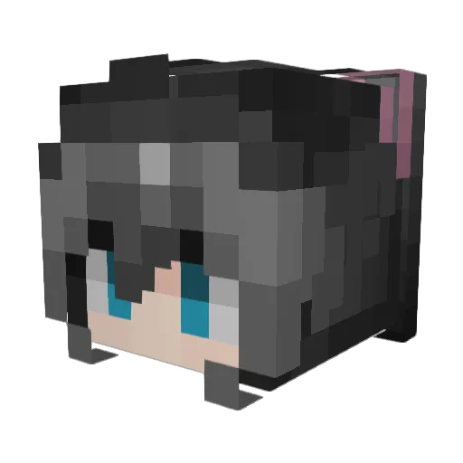 Muiminashi Minecraft avatar head, 3D render