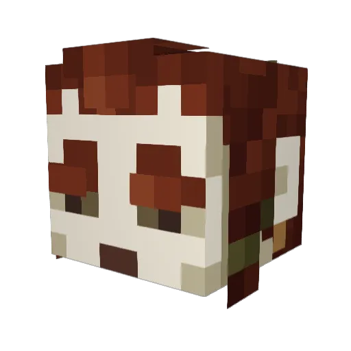 Muirioch Minecraft avatar head, 3D render