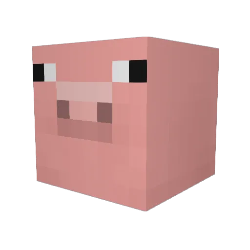 MukMuk13 Minecraft avatar head, 3D render
