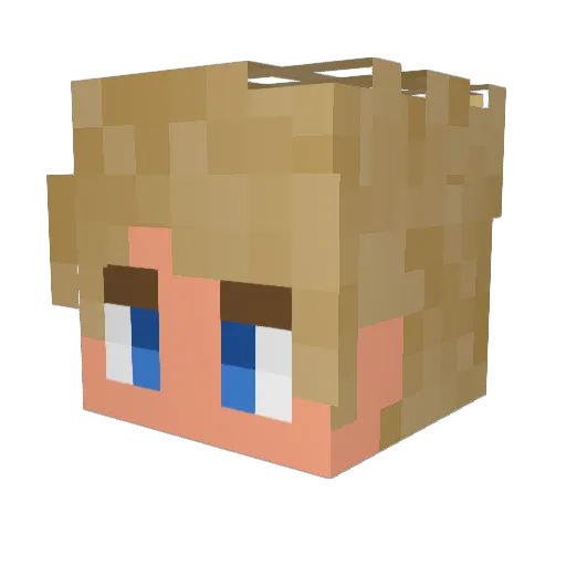 MulTi____ Minecraft avatar head, 3D render