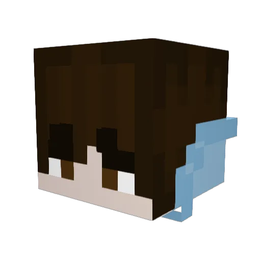 Muldwarp12 Minecraft avatar head, 3D render