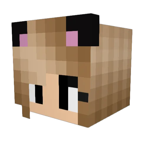 Mulle125 Minecraft avatar head, 3D render