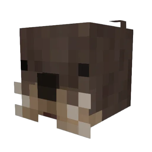 Mulotvp Minecraft avatar head, 3D render