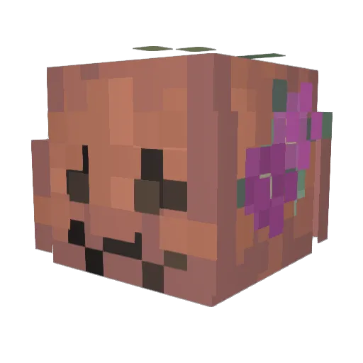 Multhee Minecraft avatar head, 3D render