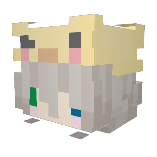 MultiEpicNinja Minecraft avatar head, 3D render