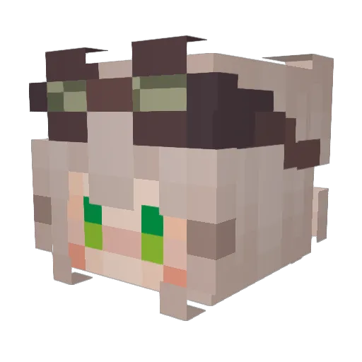 Multifor Minecraft avatar head, 3D render