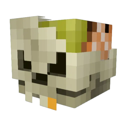 Mulusii Minecraft avatar head, 3D render