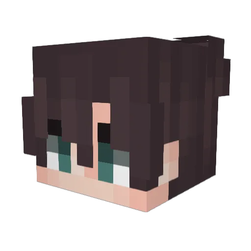 Mumbai Minecraft avatar head, 3D render