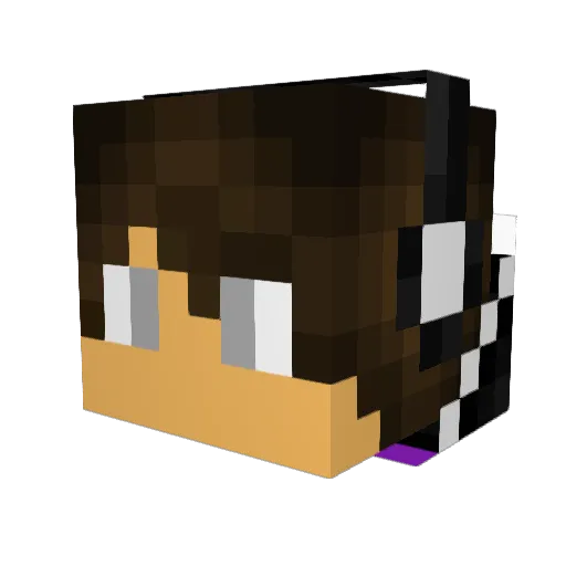 Mumbo_Dumbo Minecraft avatar head, 3D render