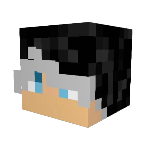 Munashii_ Minecraft avatar head, 3D render