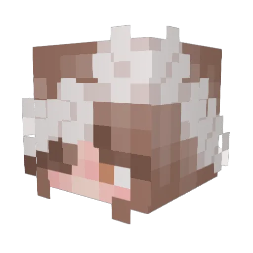 Munch688 Minecraft avatar head, 3D render