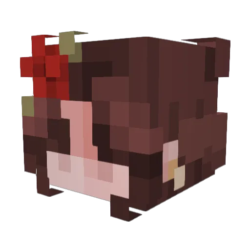 Munchie__Master Minecraft avatar head, 3D render