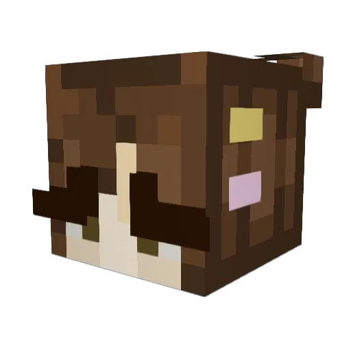 Munchimo Minecraft avatar head, 3D render